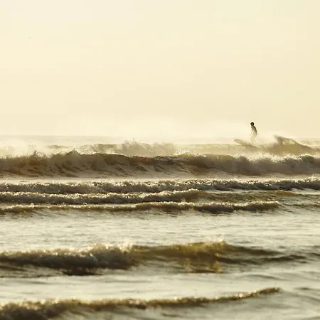 Climatise Pour 6- Piscine Commune Chauffee Dağ evi Brétignolles-sur-Mer